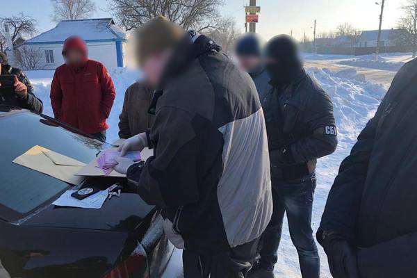 Подполковник полиции подозревается в «крышевании» вырубки лесопосадок (фото)