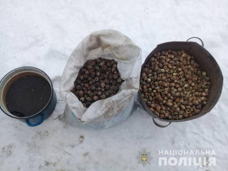 На Харьковщине мужчина на огороде выращивал опийный мак (фото)