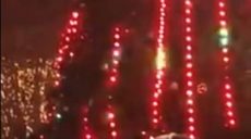 В Борисполе поймали новогоднего «Тарзана»