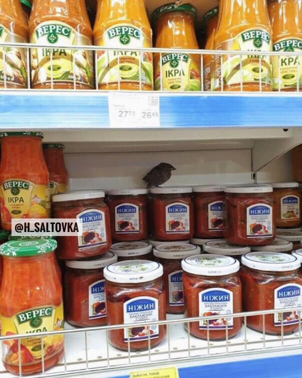 В Харьковском супермаркете на полках с продуктами нашли птицу (фото)