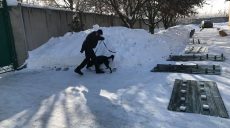 З початку року на Харківщині службові собаки виявили п’ять фактів зберігання наркотиків (відео)