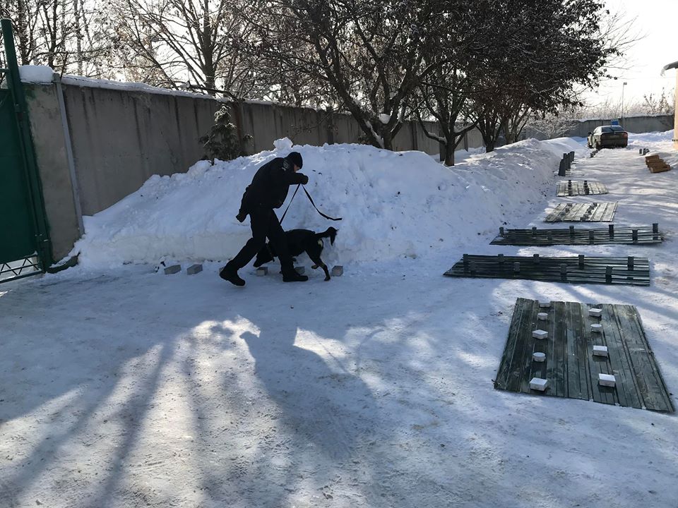 З початку року на Харківщині службові собаки виявили п’ять фактів зберігання наркотиків (відео)