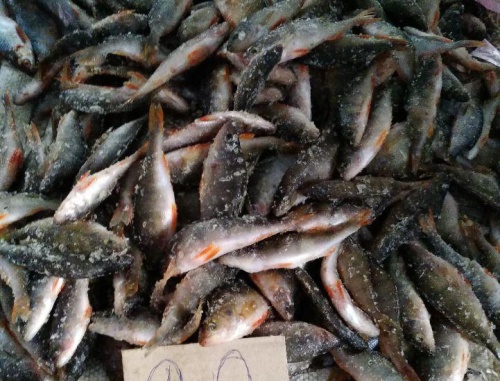 На рынках Харькова проходят проверки торговцев рыбой и рыболовными снастями