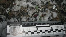 Житель Харьковщины взорвал себя гранатой (фото)