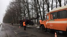 На Харьковщине продолжают наблюдаться колебания температуры (фото)