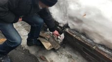 В Харькове задержали мужчину, который работал «закладчиком» на интернет-магазин (фото)