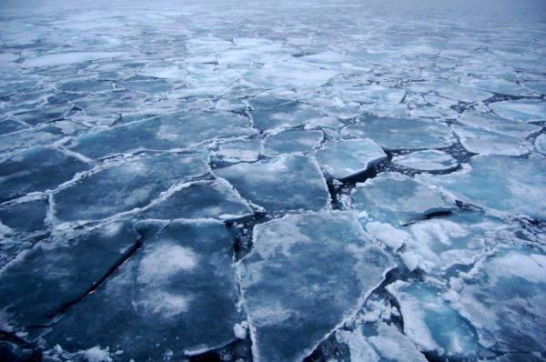 Харківські рятувальники попереджають про тонкий лід на водоймищах (відео)