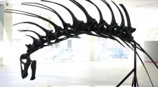 Шипы на шее: в Аргентине обнаружили новый вид динозавра (фото)