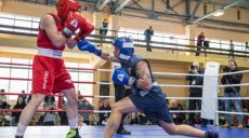 На чемпионате Украины по боксу среди женщин харьковчанки завоевали 5 золотых наград
