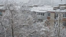 Завтра в Харькове прогнозируют до 2 градусов мороза