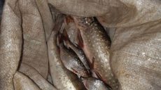 На Печенегах поймали браконьера с сетью