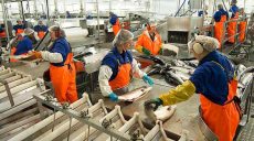 Польша стала чаще отказывать украинцам, которые хотят получить работу