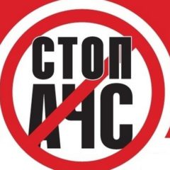 У Харкові на сміттєзвалищі виявлено трупи та рештки свиней у мішках (відео)