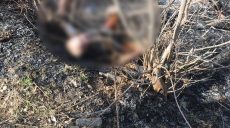 Смерть под Харьковом в результате горения сухостоя: полиция начала расследование