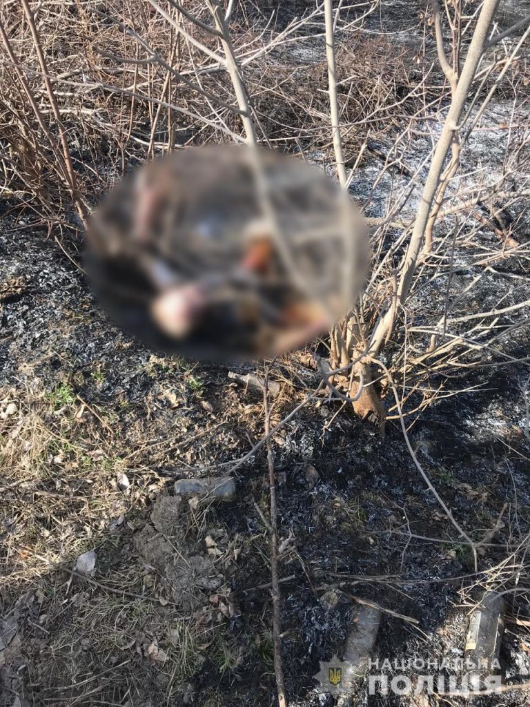 Смерть под Харьковом в результате горения сухостоя: полиция начала расследование