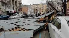 Непогода в Украине: из-за сильного ветра пострадали люди и деревья (фото)