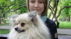 В Харькове большая собака на прогулке напала на двух маленьких собак, — соцсети