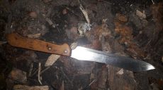Нож на Харьковщине остается самым популярным предметом для «разрешения» конфликтов