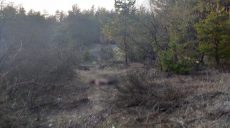 Тело убитого военнослужащего 92 ОМБр обнаружили возле кладбища (фото)