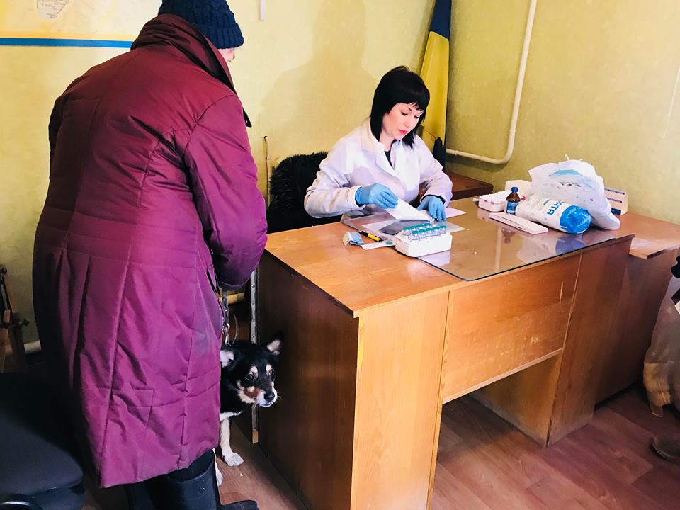 За два дня в Харькове от бешенства вакцинировали около 70 животных