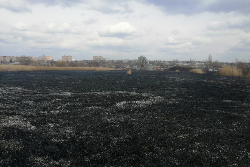 Спасатели ликвидировали крупный пожар возле частного сектора (фото)