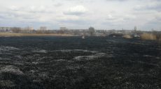 Спасатели ликвидировали крупный пожар возле частного сектора (фото)