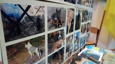 Брати по війні: у Харкові відкрилась фотовиставка (відео)