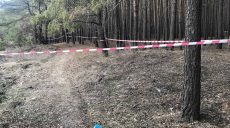 На Харківщині біля цвинтаря знайшли тіло вбитого солдата-контрактника (відео)