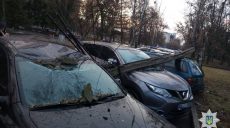 В Харькове столб упал на автомобили (фото)