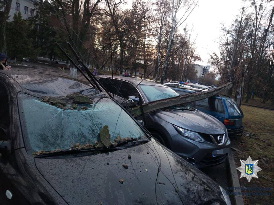 В Харькове столб упал на автомобили (фото)