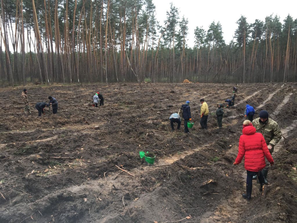 «Будущее леса в твоих руках»: на Харьковщине началась всеукраинская экологическая акция (фото)