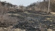 На Харьковщине зафиксирована первая в этом году смерть на травяном пожаре