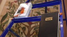 Читання на драбині: у Харкові відзначили день поезії (відео)