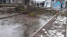 Ураган в Харькове: повалены деревья и торговые палатки (видео)