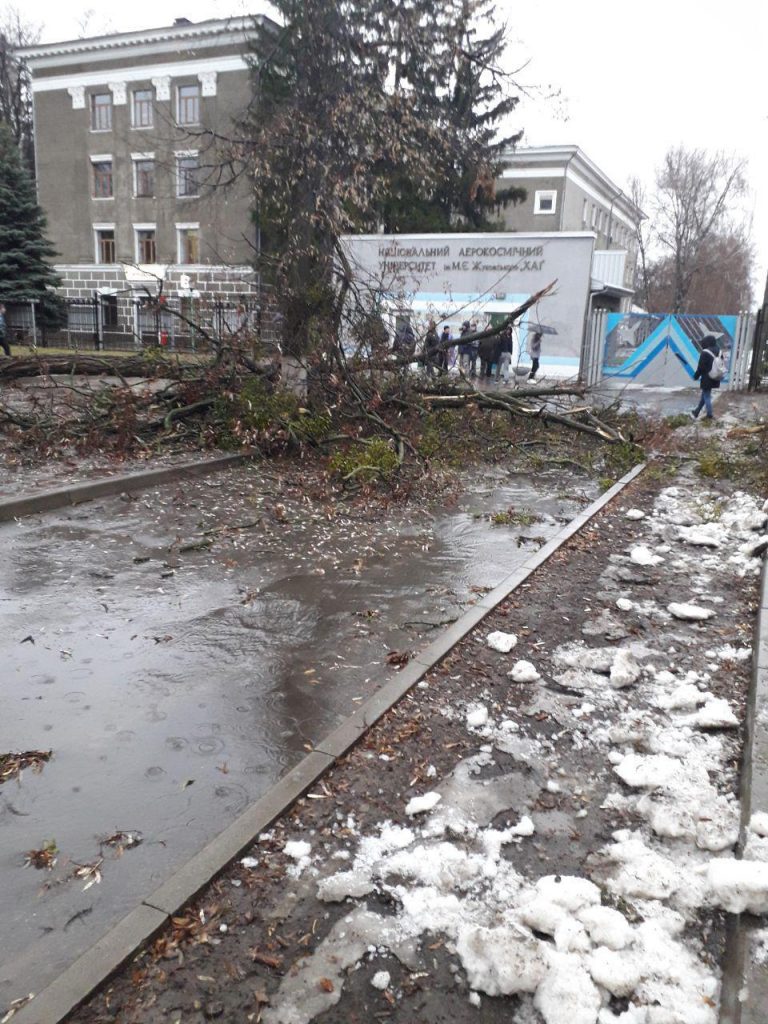 Ураган в Харькове: повалены деревья и торговые палатки (видео)