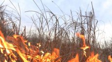 За март в Харьковской области произошло 150 пожаров в экосистемах