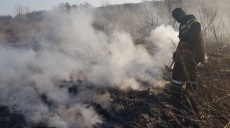 На Харьковщине за прошедшие сутки выгорело 35 га сухостоя (фото)