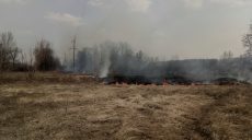 Украинские крестьяне создают мобильные группы для тушения пожаров сухостоя (видео)