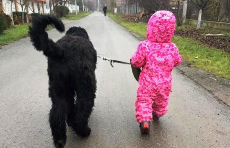 У Харкові відзначають міжнародний день собак-поводирів (відео)