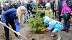 В Солоницевке высадили 450 деревьев