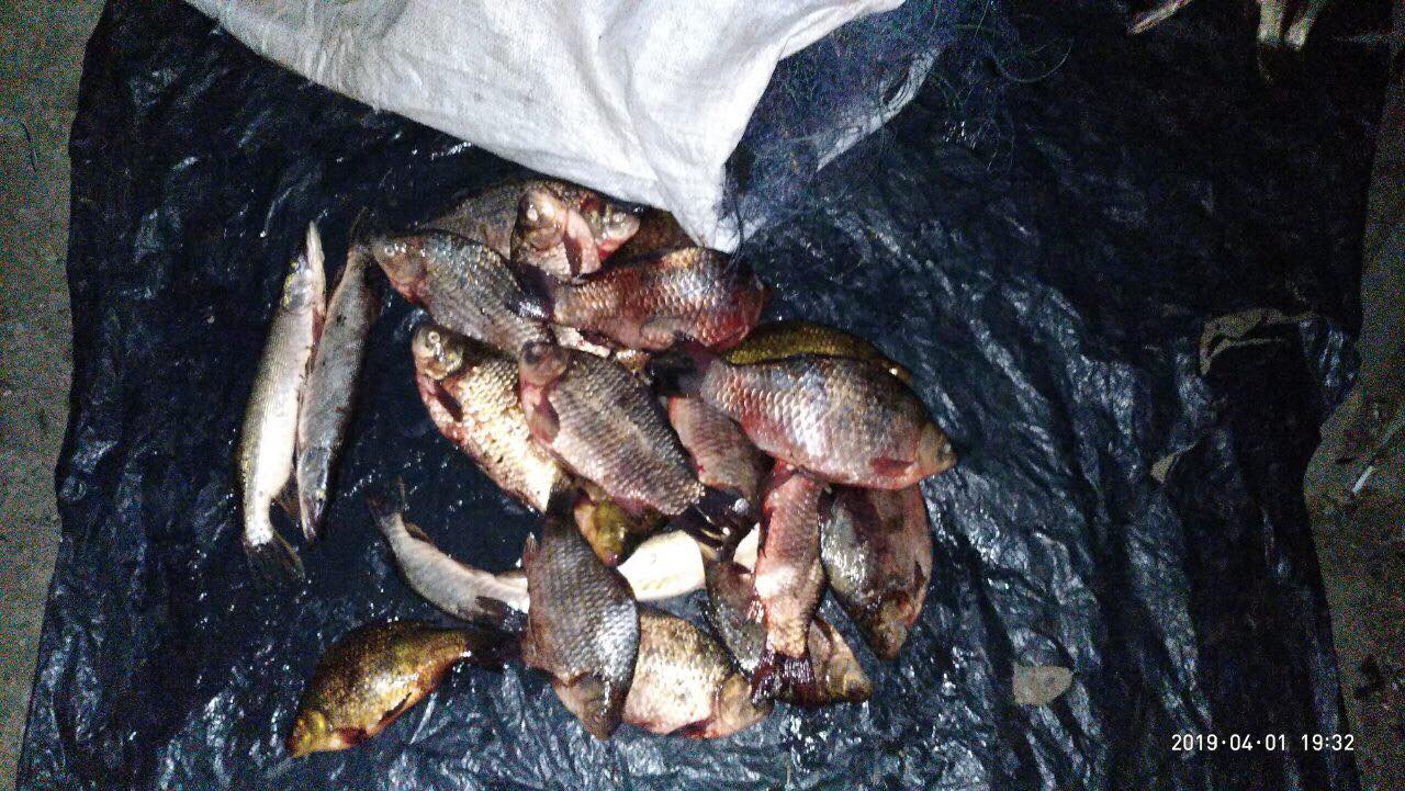 Задержан первый нарушитель нерестового запрета на Харьковщине