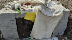 Неизвестные закидали мусором памятник воинам УПА в Харькове