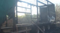 В Харькове пожар на болоте уничтожил полуприцеп и нанес ущерб соседним частным домам (фото)