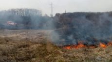 На Харьковщине продолжаются пожары сухостоя (фото, видео)