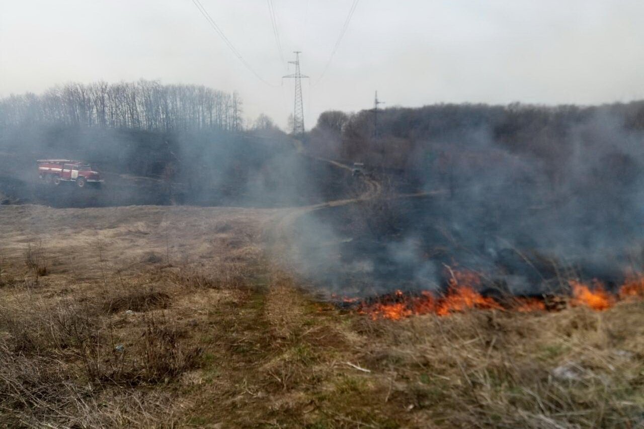 На Харьковщине продолжаются пожары сухостоя (фото, видео)