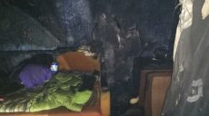 В Харькове в результате пожара погиб мужчина (фото)