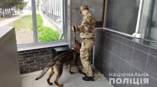 Информация о минировании пяти зданий не подтвердилась (видео)