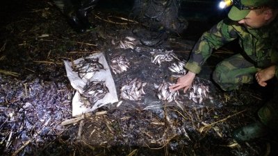 На водоемах Харьковщины продолжают отлавливать браконьеров, на рынках конфисковывать запрещенные средства лова