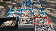 В Украине установлен рекорд отечественного браконьерства (фото)