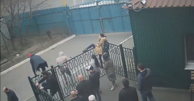 По факту нападения на приют для животных в Харькове открыто уголовное дело